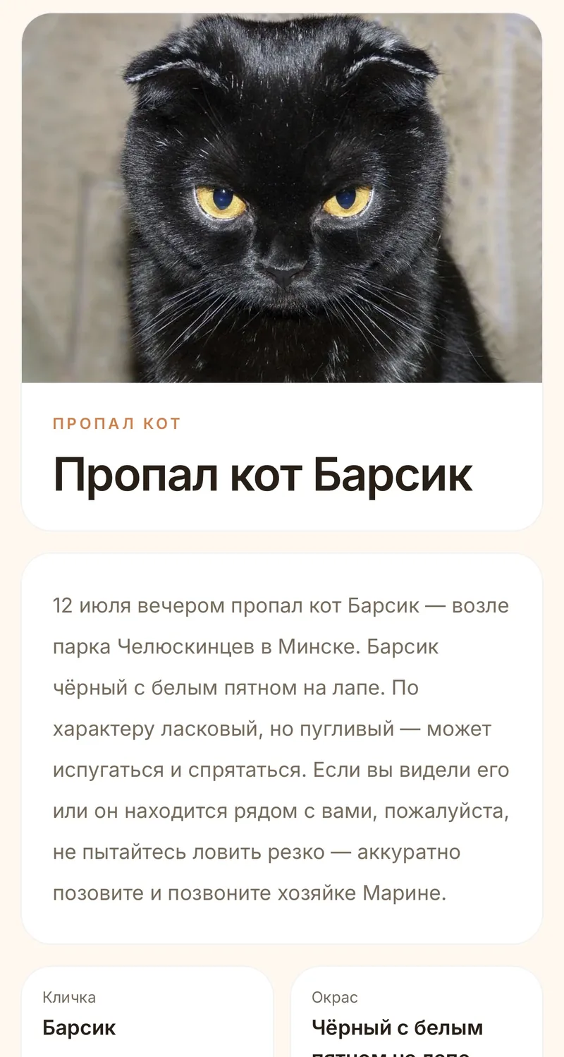 Пример страницы о пропавшем коте